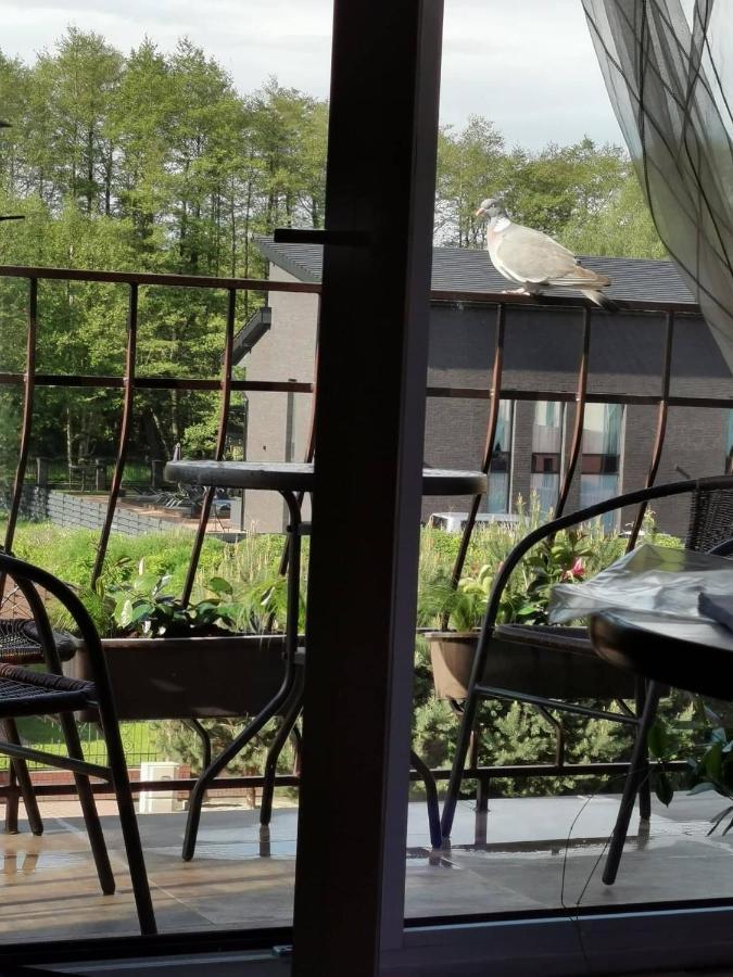 Neringa Apartamentai Palanga Luaran gambar
